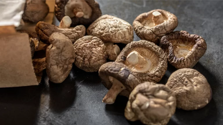 Grzyby Shiitake – Japońska Medycyna w Polskiej Kuchni